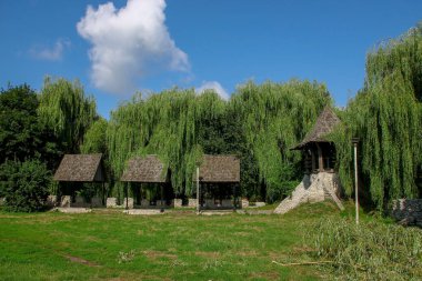 Ağustosta parkın güzel manzarası