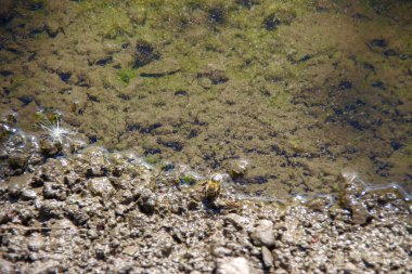 Yağmurdan sonra yol kenarında su birikintisi