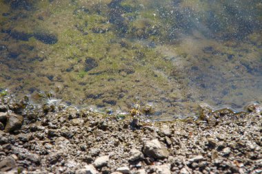 Yağmurdan sonra yol kenarında su birikintisi