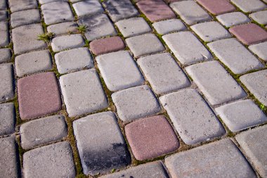 Parktaki asfalt dokusu