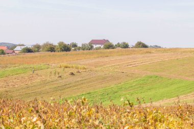 Eylül 'de kır evleri ve tarlaları