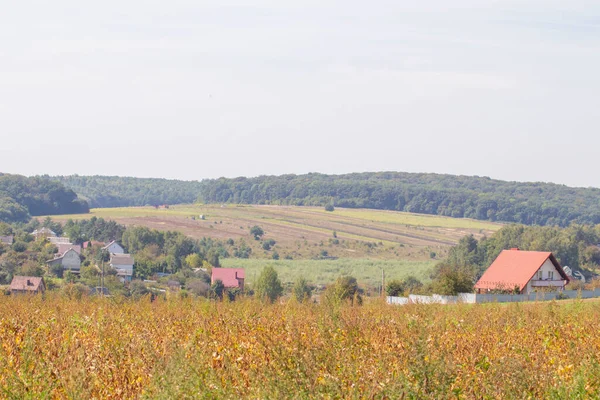 Заміські Будинки Поля Вересні — стокове фото