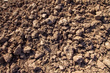 Eylül 'de şehrin dışındaki tarlaların manzaraları