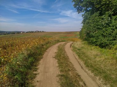 Tarlaların ve ormanların sonbahar manzarası