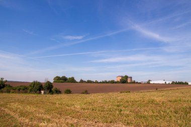Ormanın yakınındaki bir tarlada sonbahar manzarası