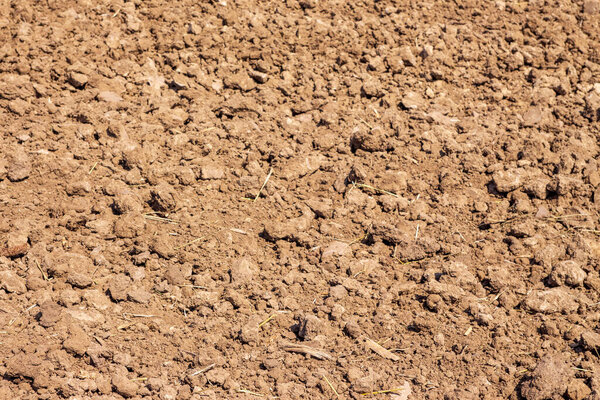 Пейзажи вспаханного поля за пределами города в сентябре