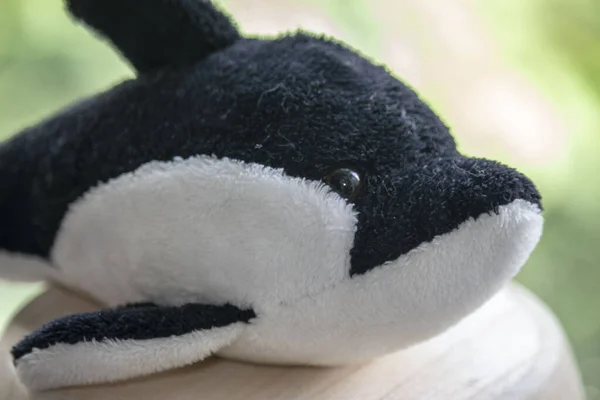 Toy black and white soft whale or killer whale