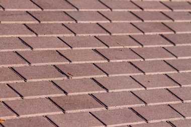 Parke taşlarının dokusu arka planlar için yere serilmişti.