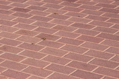 Parke taşlarının dokusu arka planlar için yere serilmişti.