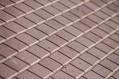 Parke taşlarının dokusu arka planlar için yere serilmişti.