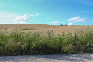 Ağustosta güzel bir manzara, yani orman ve tarlalı mavi gökyüzü.