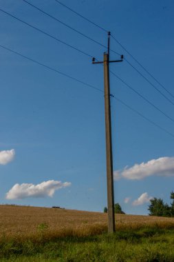 Ağustosta güzel bir manzara, yani orman ve tarlalı mavi gökyüzü.