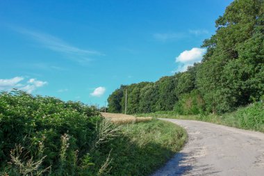 Ağustosta güzel bir manzara, yani orman ve tarlalı mavi gökyüzü.