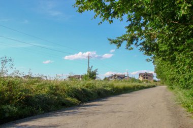 Ağustosta güzel bir manzara, yani orman ve tarlalı mavi gökyüzü.