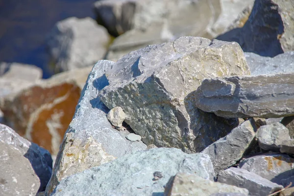 Μεγάλες Γκρίζες Πέτρες Στην Προκυμαία Της Λίμνης — Φωτογραφία Αρχείου