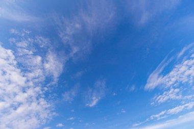 Tarlada sonbahar manzarası. Orman, ağaçlar, yapraklar, gökyüzü.