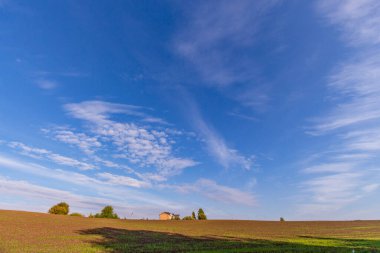 Tarlada sonbahar manzarası. Orman, ağaçlar, yapraklar, gökyüzü.