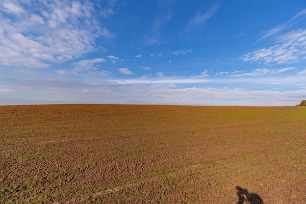 Höstlandskap Fältet Skog Träd Blad Himmel — Stockfoto