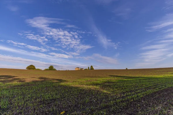 Autumn Landscape Field Forest Trees Leaves Sky — Stock Photo, Image