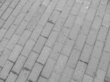 Arkaplan için asma dokusu