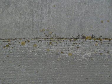 Duvardaki gri pürüzsüz levha dokusu