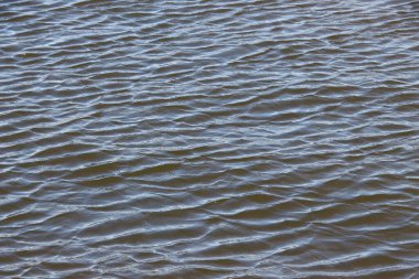 Dalgalar gölün çamurlu sularında