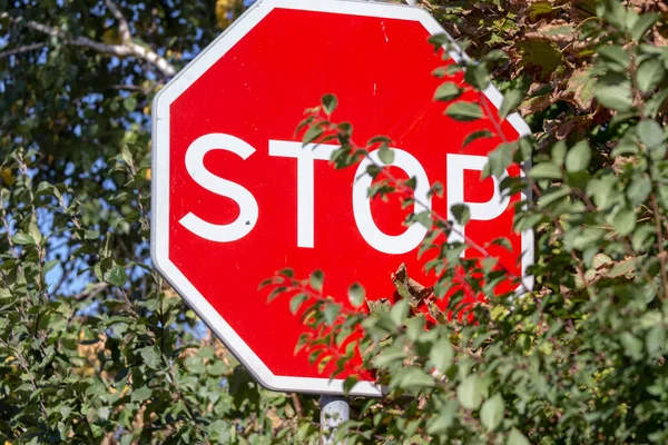 Cartello Stradale Rosso Con Scritta Stop — Foto Stock