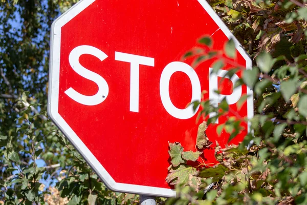 Rotes Verkehrsschild Mit Der Aufschrift Stop — Stockfoto