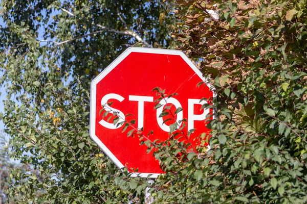 Rode Wegwijzer Met Opschrift Stop — Stockfoto