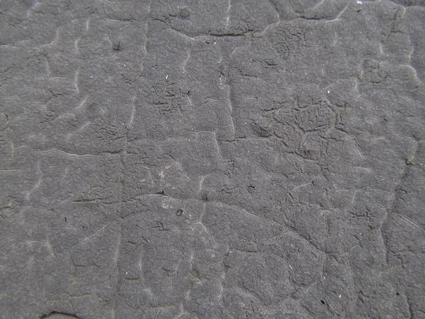 Textura Lábio Preto Antigo Assemelha Marfim — Fotografia de Stock
