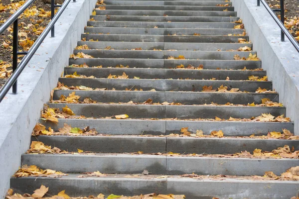 Novas Escadas Concreto Parque Cidade Outono — Fotografia de Stock