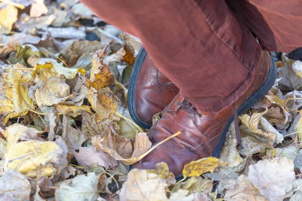 Belos Sapatos Masculinos Outono Sapatos — Fotografia de Stock