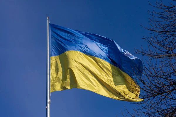 Державний Синій Жовтий Прапор України Парку Флагштоку Проти Неба — стокове фото