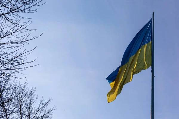 Державний Синій Жовтий Прапор України Парку Флагштоку Проти Неба — стокове фото
