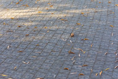 Arka planlar için beton kaldırım dokusu