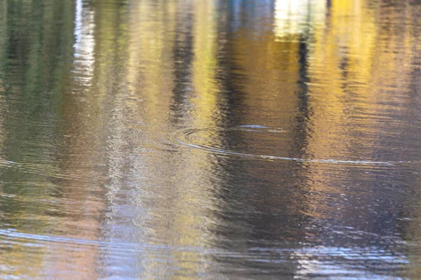 Belle Eau Automne Dans Lac Octobre — Photo