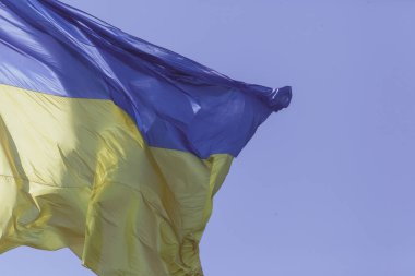 Ukrayna 'nın sarı ve mavi bayrağı bayrak direğinde dalgalanır rüzgarda