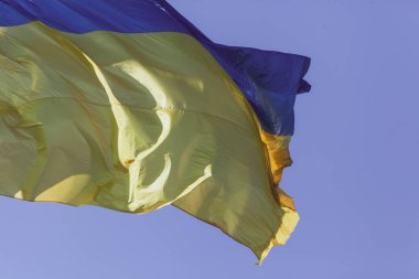 Ukrayna 'nın sarı ve mavi bayrağı bayrak direğinde dalgalanır rüzgarda