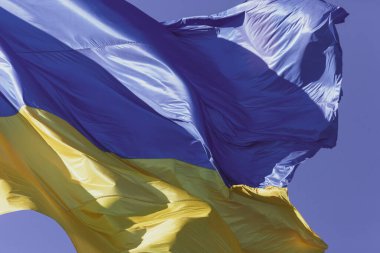 Ukrayna 'nın sarı ve mavi bayrağı bayrak direğinde dalgalanır rüzgarda