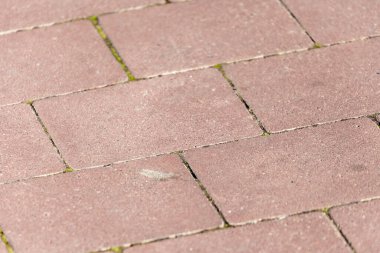 Arkaplan için renkli kaldırım taşı dokusu. Kaldırımda beton kaldırım.