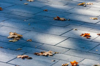 Arkaplan için renkli kaldırım taşı dokusu. Kaldırımda beton kaldırım.