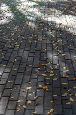 Arkaplan için renkli kaldırım taşı dokusu. Kaldırımda beton kaldırım.