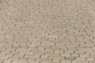 Arkaplan için renkli kaldırım taşı dokusu. Kaldırımda beton kaldırım.