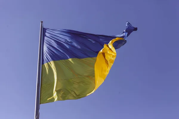 Жовтий Синій Прапор України Флагштоку Коливається Від Вітру — стокове фото