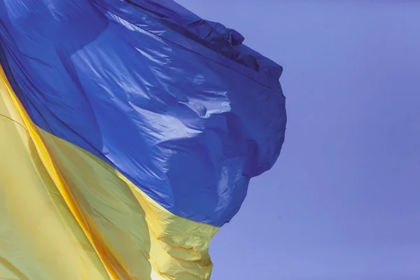 Желто Синий Флаг Украины Флагштоке Развевается Ветру — стоковое фото