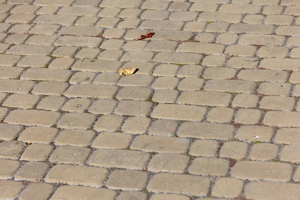 Tekstur Batu Kapur Berwarna Untuk Latar Belakang Trotoar Beton Trotoar — Stok Foto