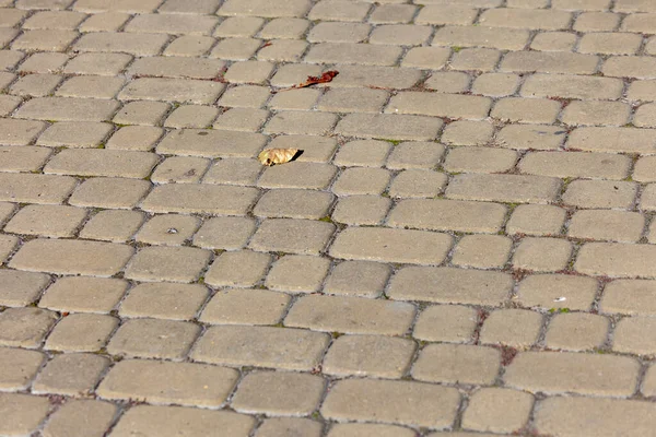 Farbige Kopfsteinpflasterstruktur Für Hintergründe Betonpflaster Auf Dem Bürgersteig — Stockfoto