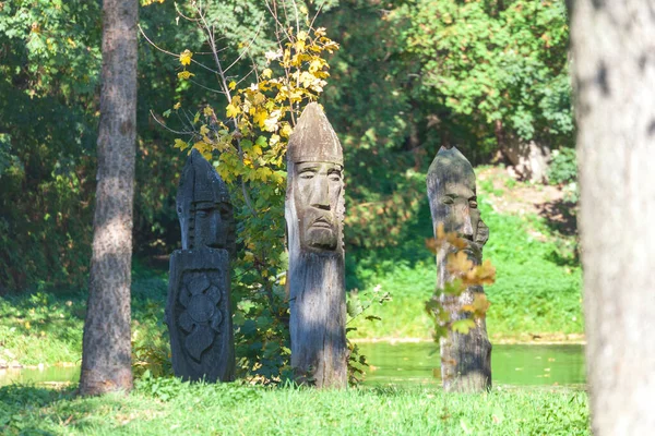 Scultura Legno Saggio Soldato Nel Parco — Foto Stock