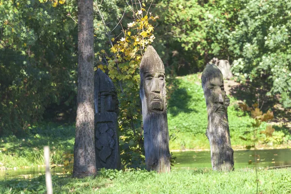 Wooden Sculpture Sage Soldier Park — 스톡 사진