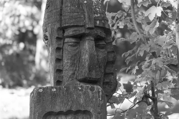 Scultura Legno Saggio Soldato Nel Parco — Foto Stock